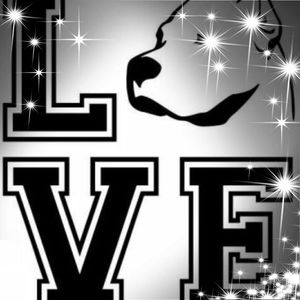 Meet your Posher, Norman